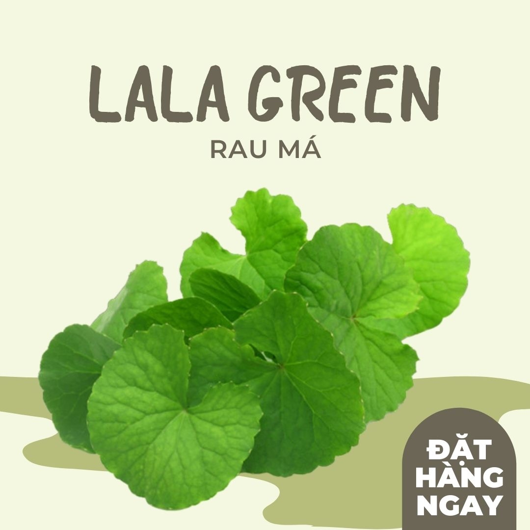 [LALA Green] Rau má - 1KG