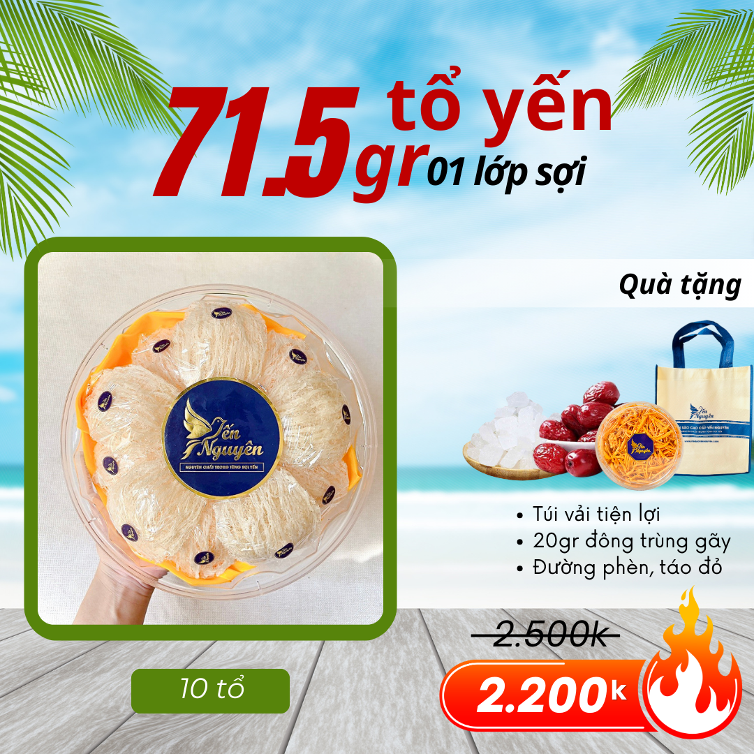 71.5GR TỔ YẾN TINH CHẾ  LỚP SỢI - TẶNG TÚI VÀ GIA VỊ