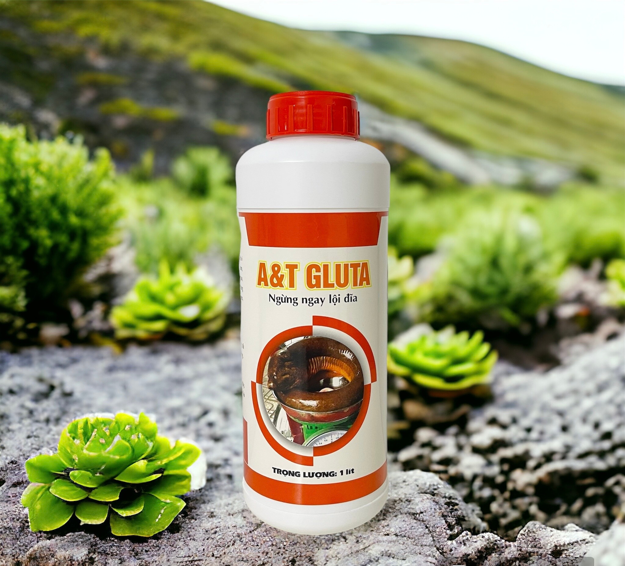 A&T GLUTA( Lươn Ngừng ngay lội đĩa)