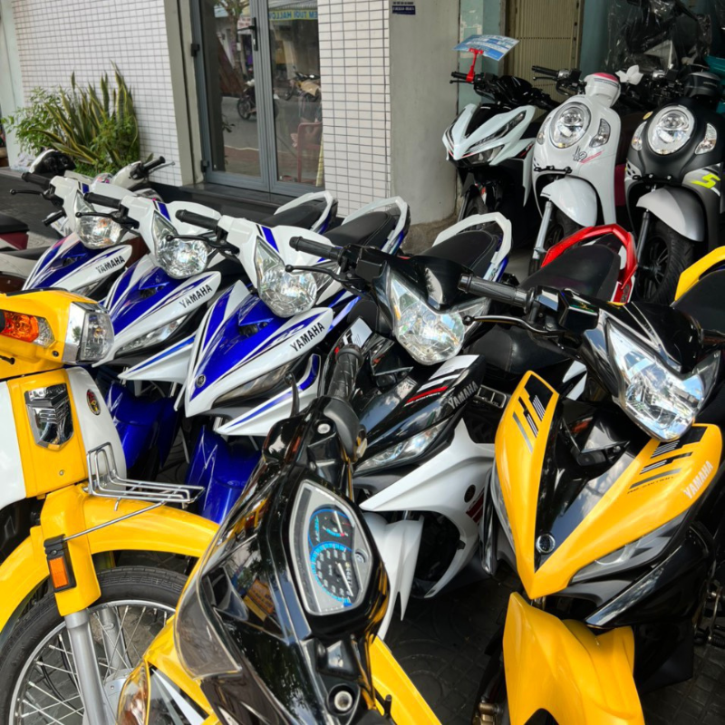 EX 135 xanh GP-Vàng đen-trắng đỏ đời 2012-2014