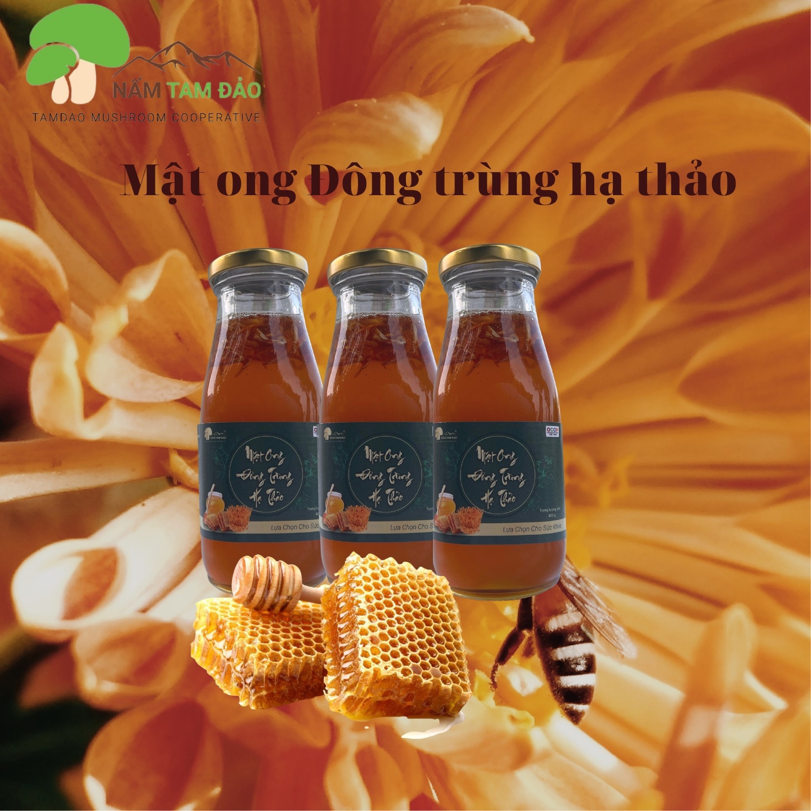 Mật ong Đông Trùng Hạ Thảo Tam Đảo - Hũ 400g