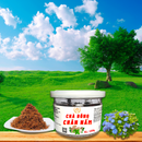 CHÀ BÔNG CHÂN NẤM HƯƠNG 100g