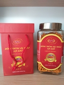 Đông trùng hạ thảo sợi khô (CORDYCEPS MILITARIS) lọ 50g