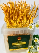 Đông Trùng Hạ Thảo Sinh Khối Tươi