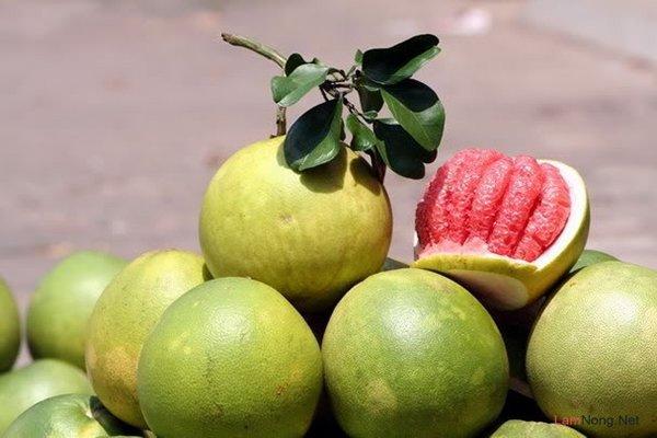 Bưởi đào