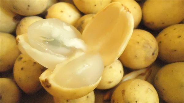 Bòn bon sô cô la