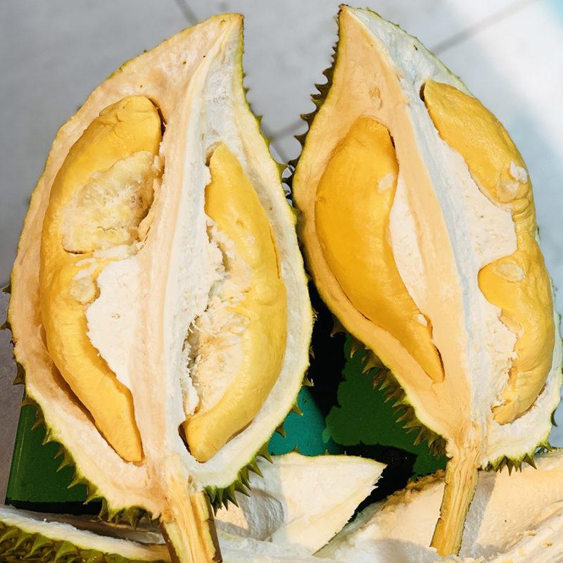 Sầu Riêng Ri 6