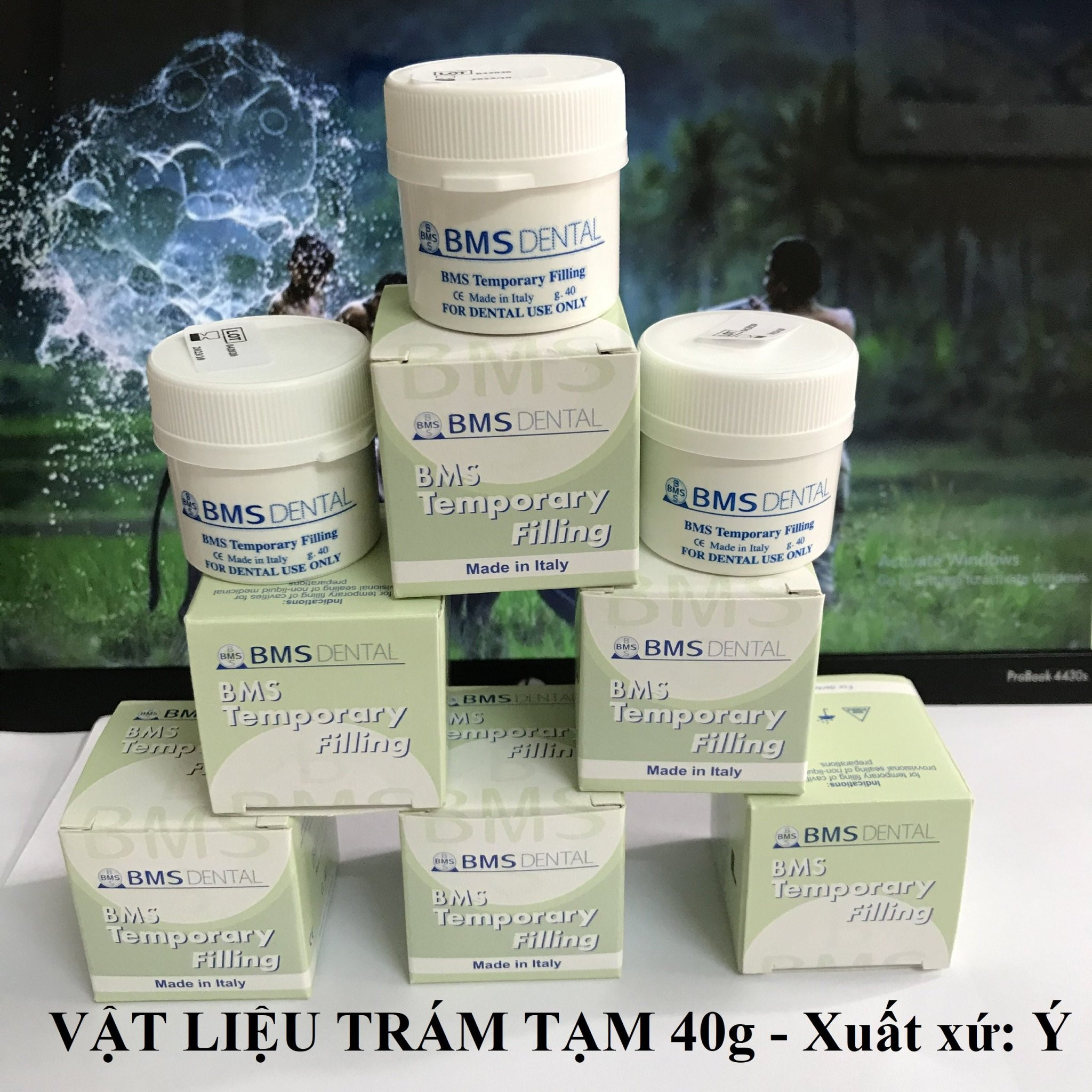 Chất hàn tạm BMS Temporary Filling 40g