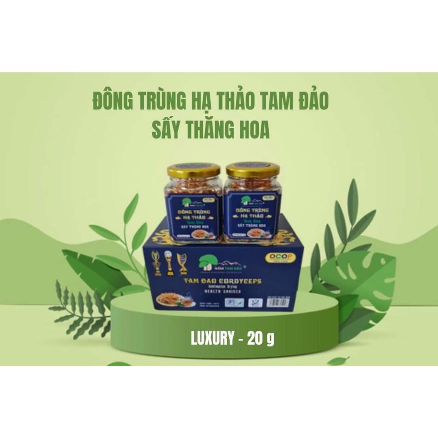 Đông Trùng Hạ Thảo Tam Đảo Sấy Thăng Hoa hộp Luxury 20gx2
