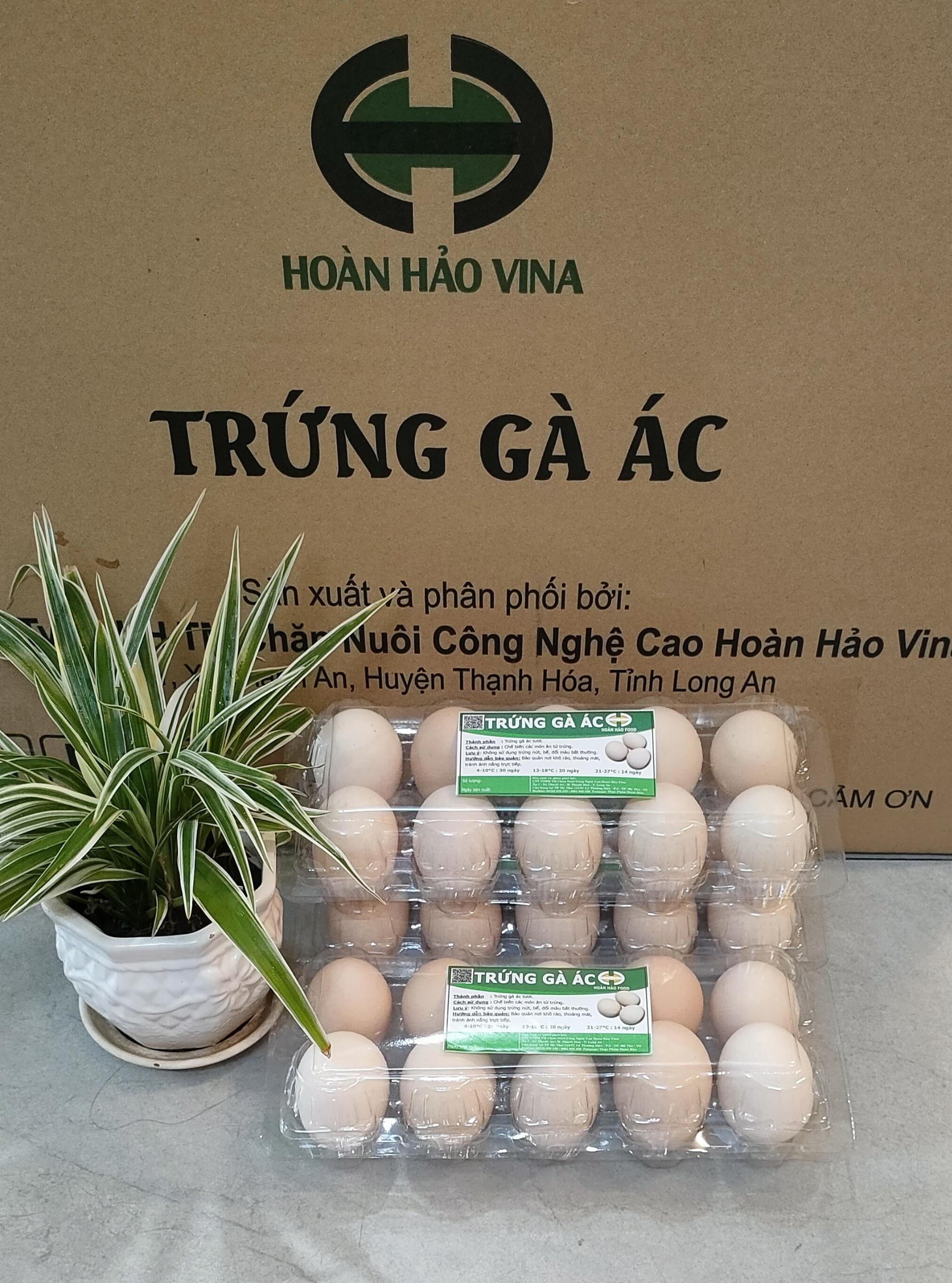 Trứng gà ác Hoàn Hảo 2 lòng (Hộp nhựa 10 trứng)
