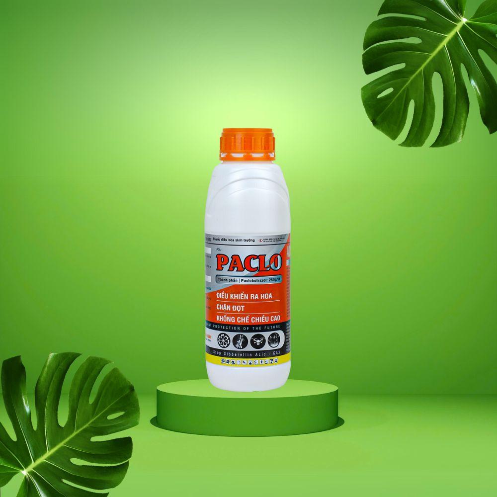 Điều hòa sinh trưởng PACLO 1L, chứa Paclobutazole 250SC giúp cứng cây, ngắn lóng, chống đổ ngã, chặn đọt, xử lí ra hoa