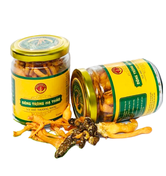 Đông Trùng Hạ Thảo Kí Chủ Nhộng Tằm 30g- Đông Thảo Nam