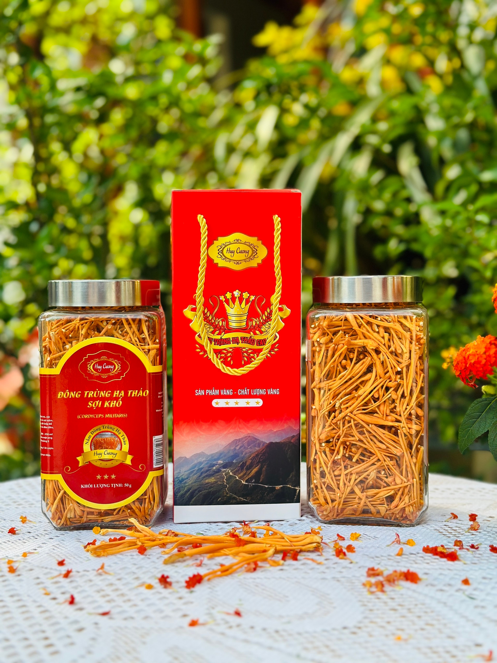 Đông trùng hạ thảo sợi rối lọ thủy tinh 50G vỏ giấy mềm 