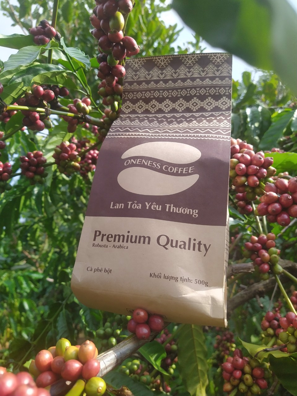 Nature Coffee - Robusta-Arabica