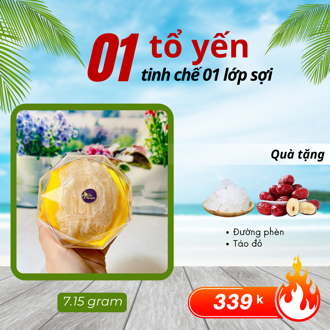 SET 1 TỔ YẾN TINH CHẾ  LỚP SỢI - TẶNG KÈM GIA VỊ