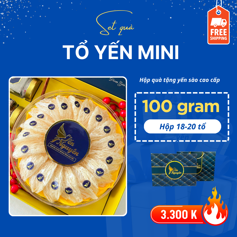 HỘP QUÀ YẾN 100GR - 20 TỔ MINI - MUA 01 TẶNG 03