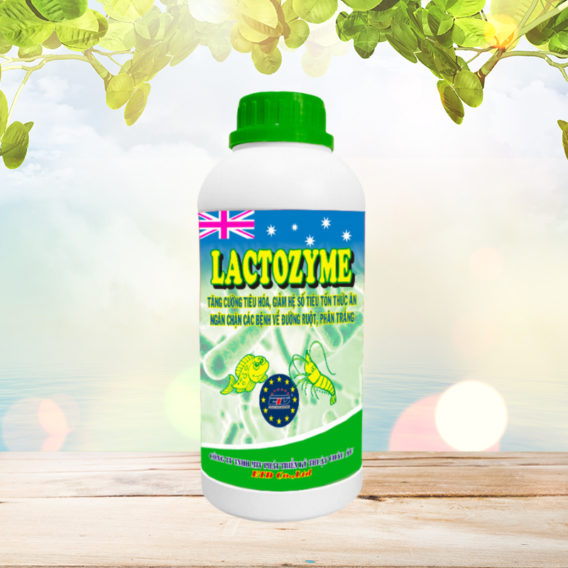 LACTOZYME - Tăng Cường Tiêu Hoá, Giảm Hệ Số Tiêu Tốn Thức Ăn