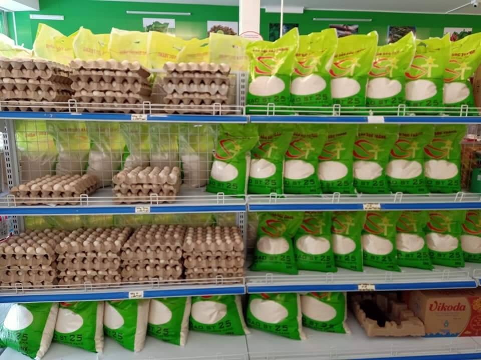 Gạo ST25 Sóc Trăng- Túi 10 kg