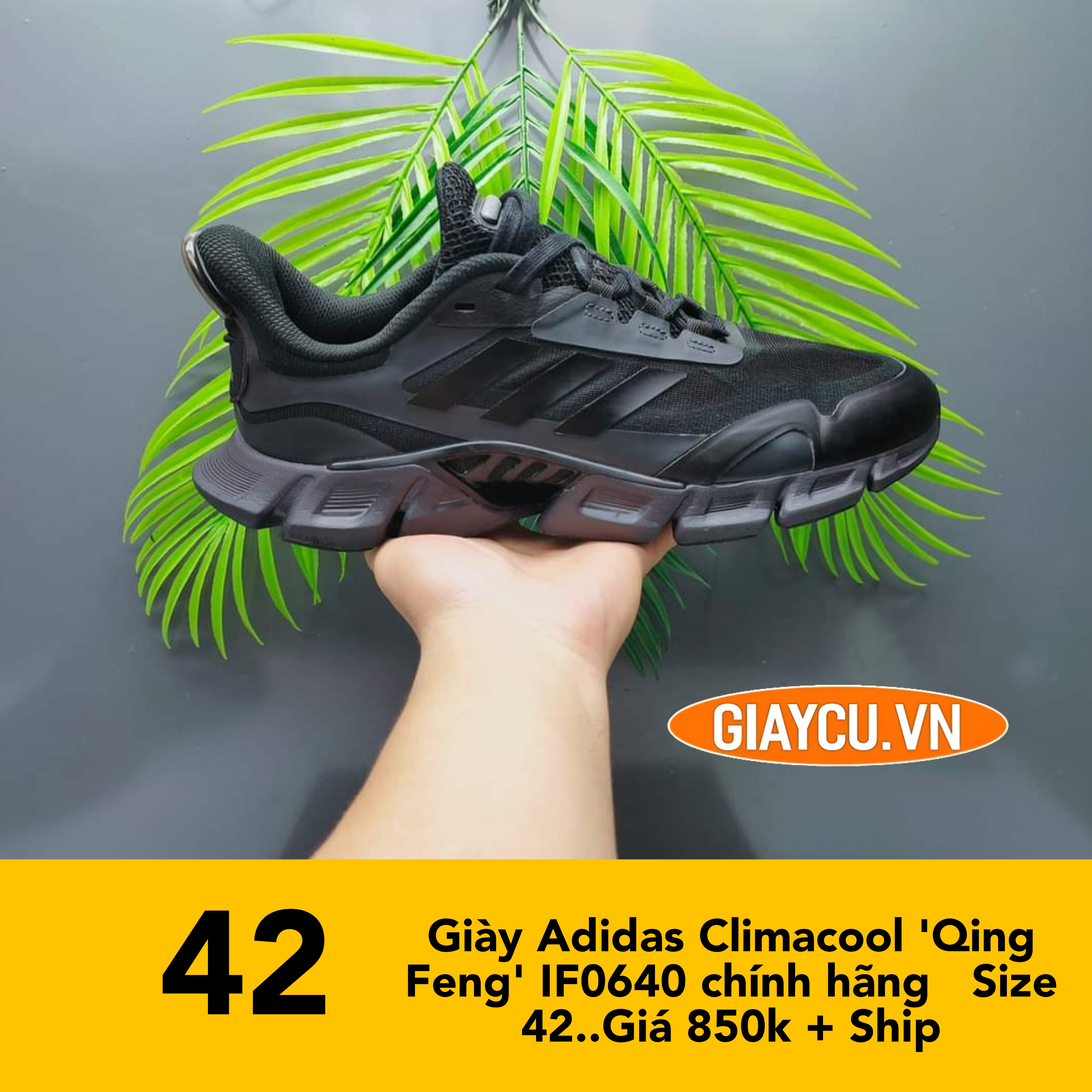 Giày Adidas Climacool 'Qing Feng' IF0640 chính hãng  