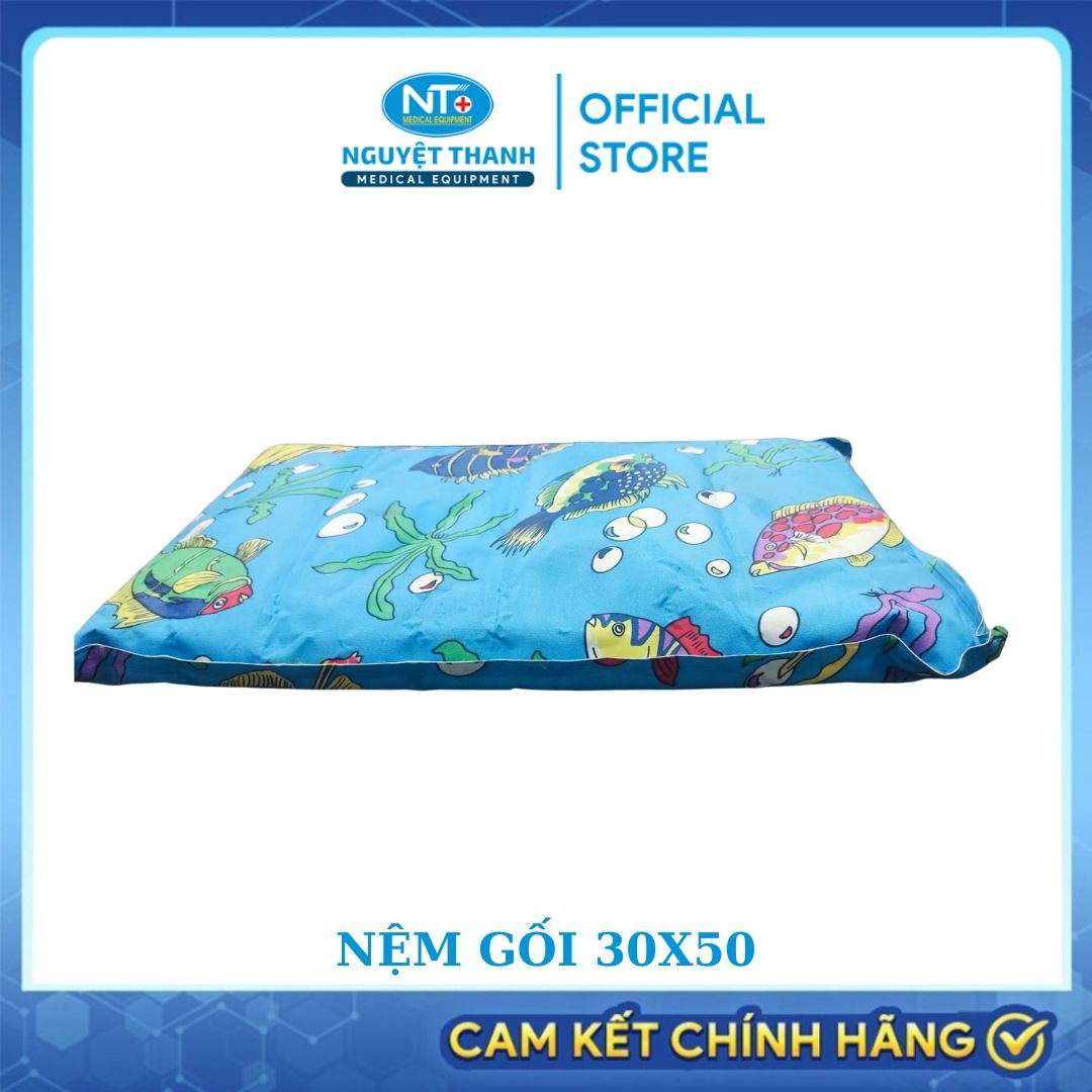 Nệm Gối Nước Mát Ngọc Thảo -  Kích Thước 50 x 30cm.