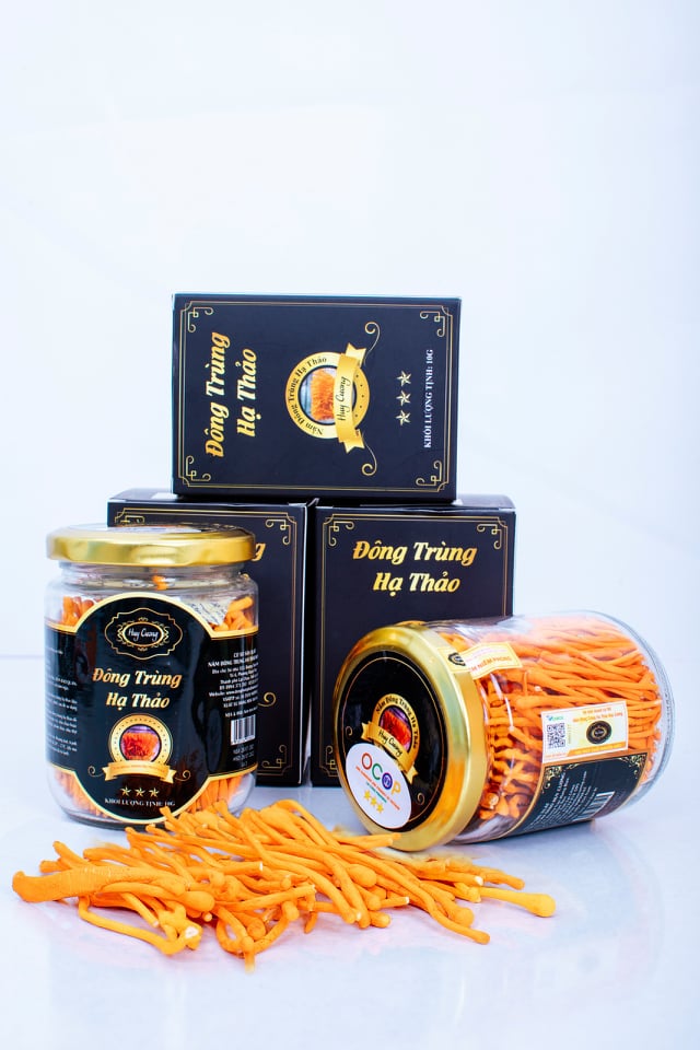 Đông trùng hạ thảo Huy Cương loại VIP hộp 10g