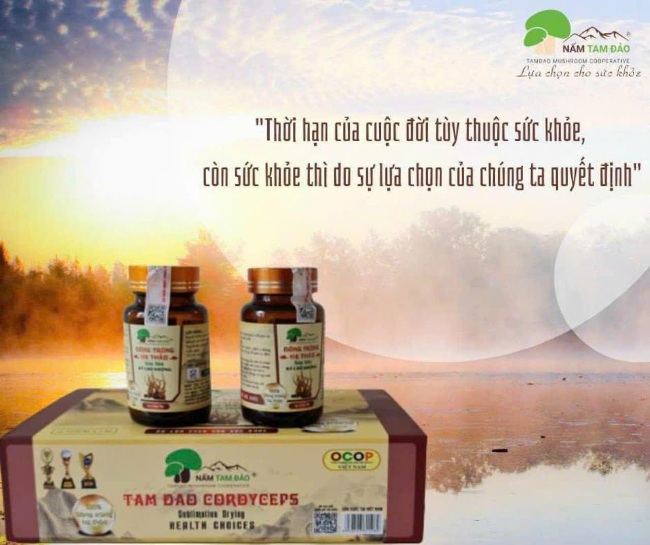ĐÔNG TRÙNG HẠ THẢO TAM ĐẢO (KÝ CHỦ NHỘNG TRƯỜNG THỌ) 15 con x 2 lọ