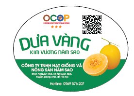 Giống Dưa vàng Kim Vương 5 SAO