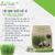 Mì Mầm Lúa Mạch Organic - Anpaso