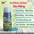 Phân Bón Hữu Cơ DƯỠNG BÔNG SẦU RIÊNG