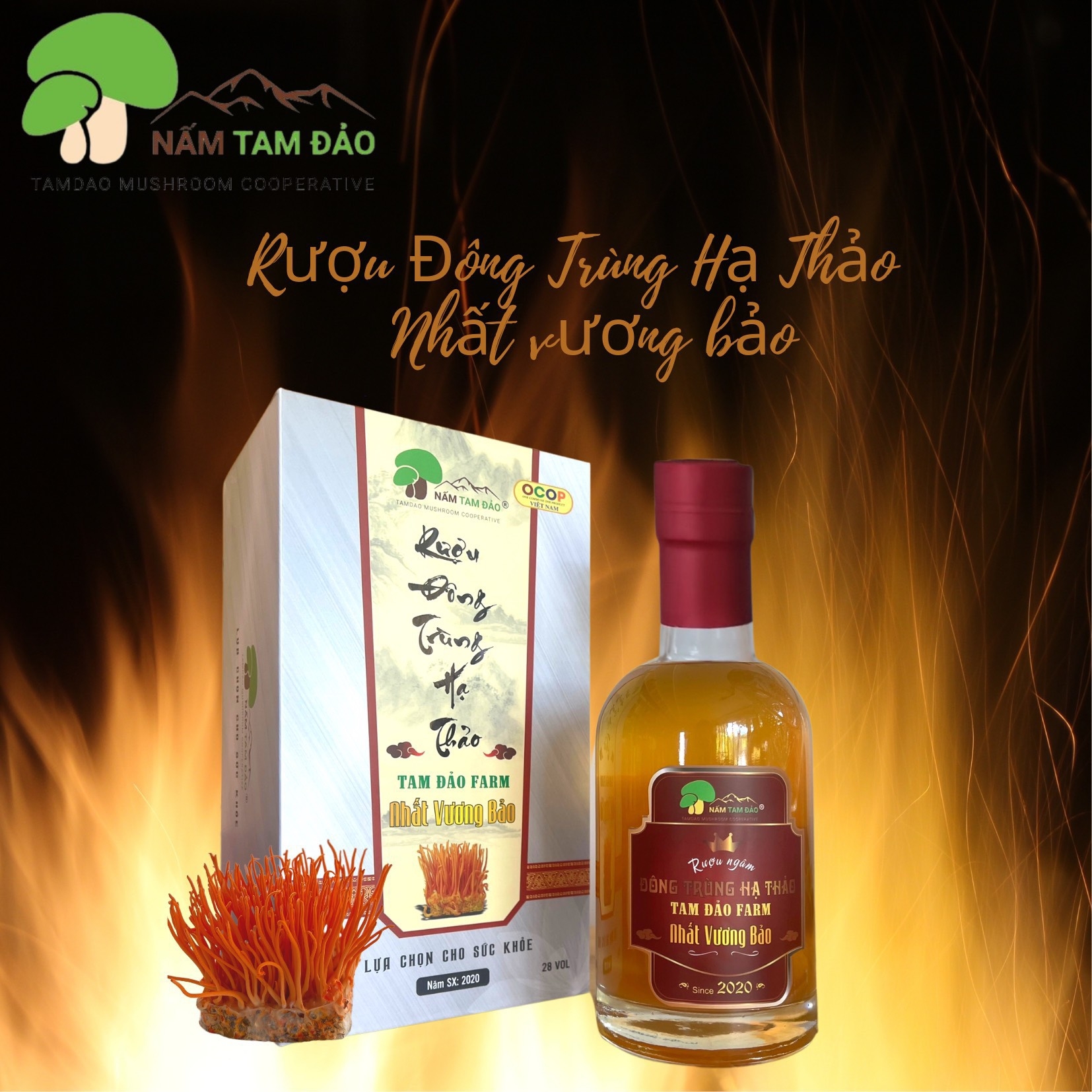 Rượu ngâmNấm Đông Trùng hạ Thảo - Nhất Vương Bảo - Hộp 750ml