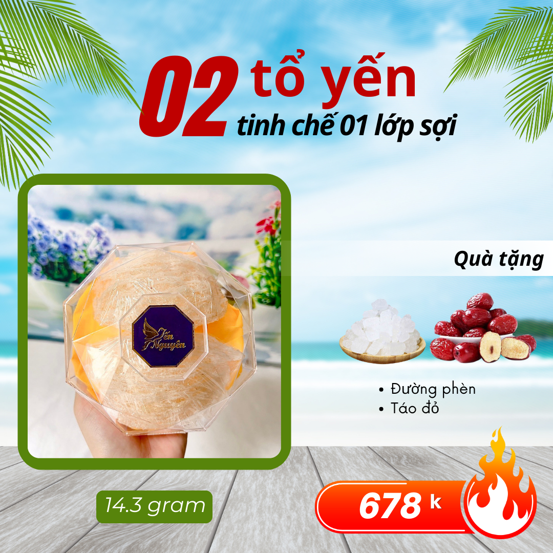 SET 2 TỔ YẾN TINH CHẾ  LỚP SỢI - TẶNG KÈM GIA VỊ