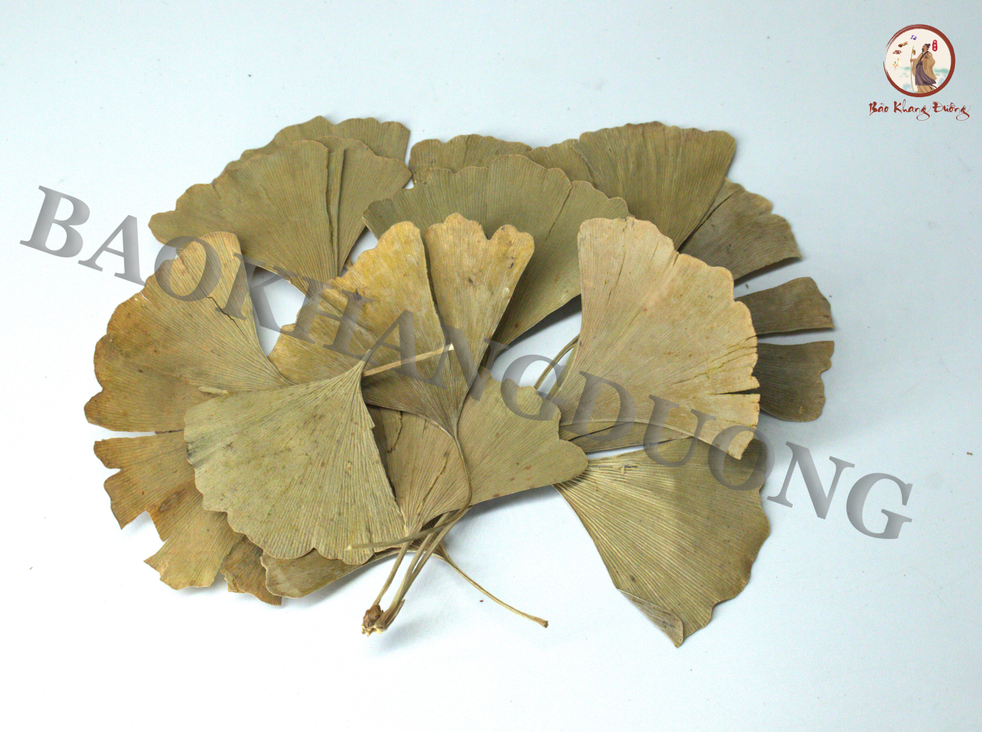 NGÂN HẠNH DIỆP