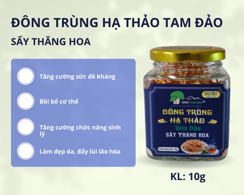 Đông Trùng Hạ Thảo Tam Đảo Sấy Thăng Hoa - 10 G