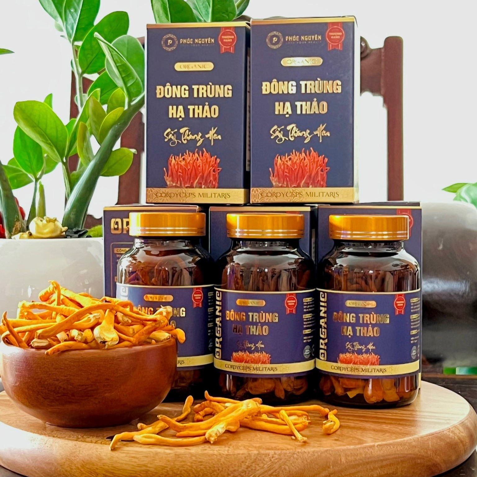 HỘP 10GR ĐÔNG TRÙNG HẠ THẢO CAO CẤP SẤY THĂNG HOA 