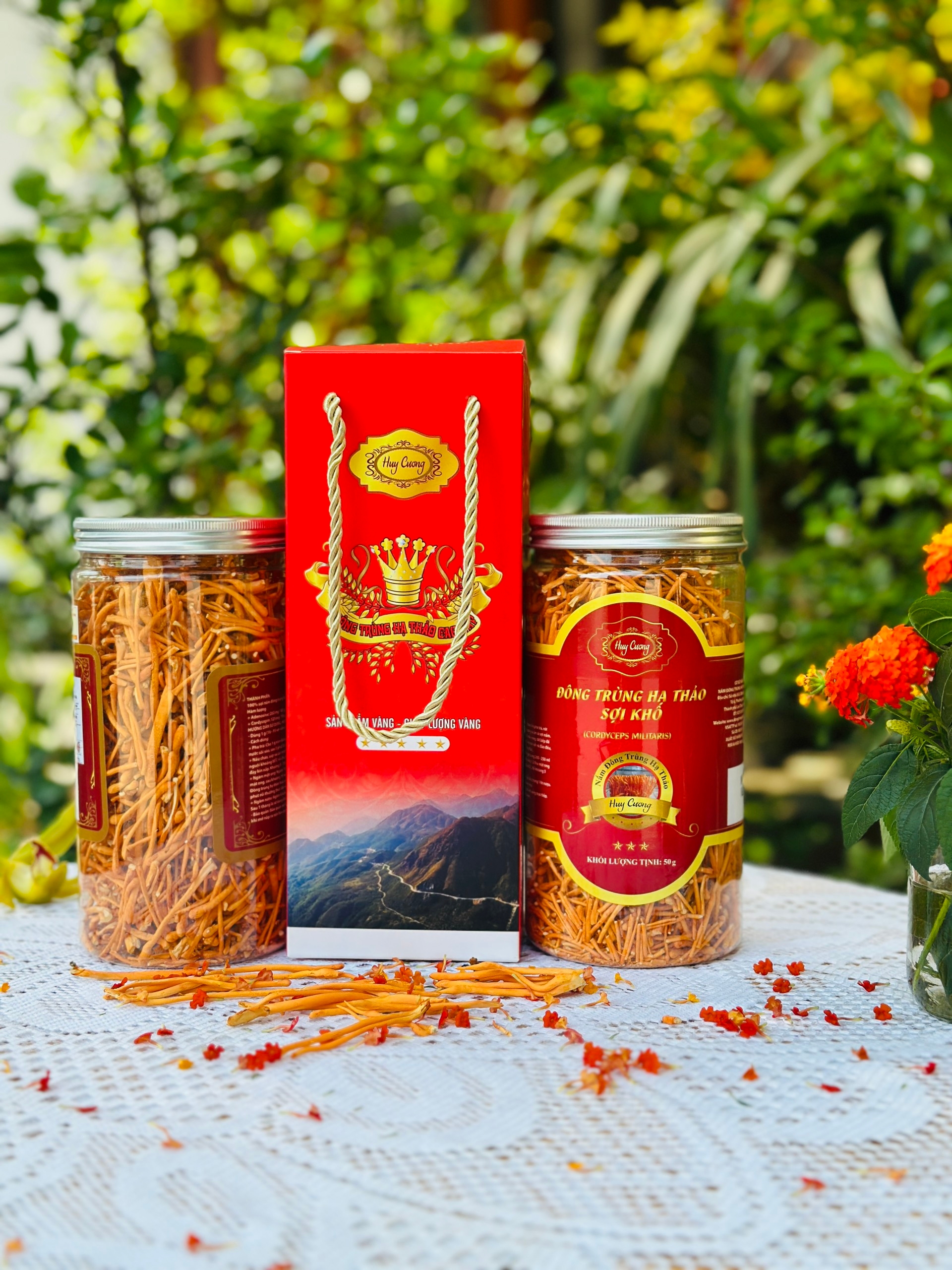 Đông trùng hạ thảo Huy Cương sợi rối lọ nhựa 50G 