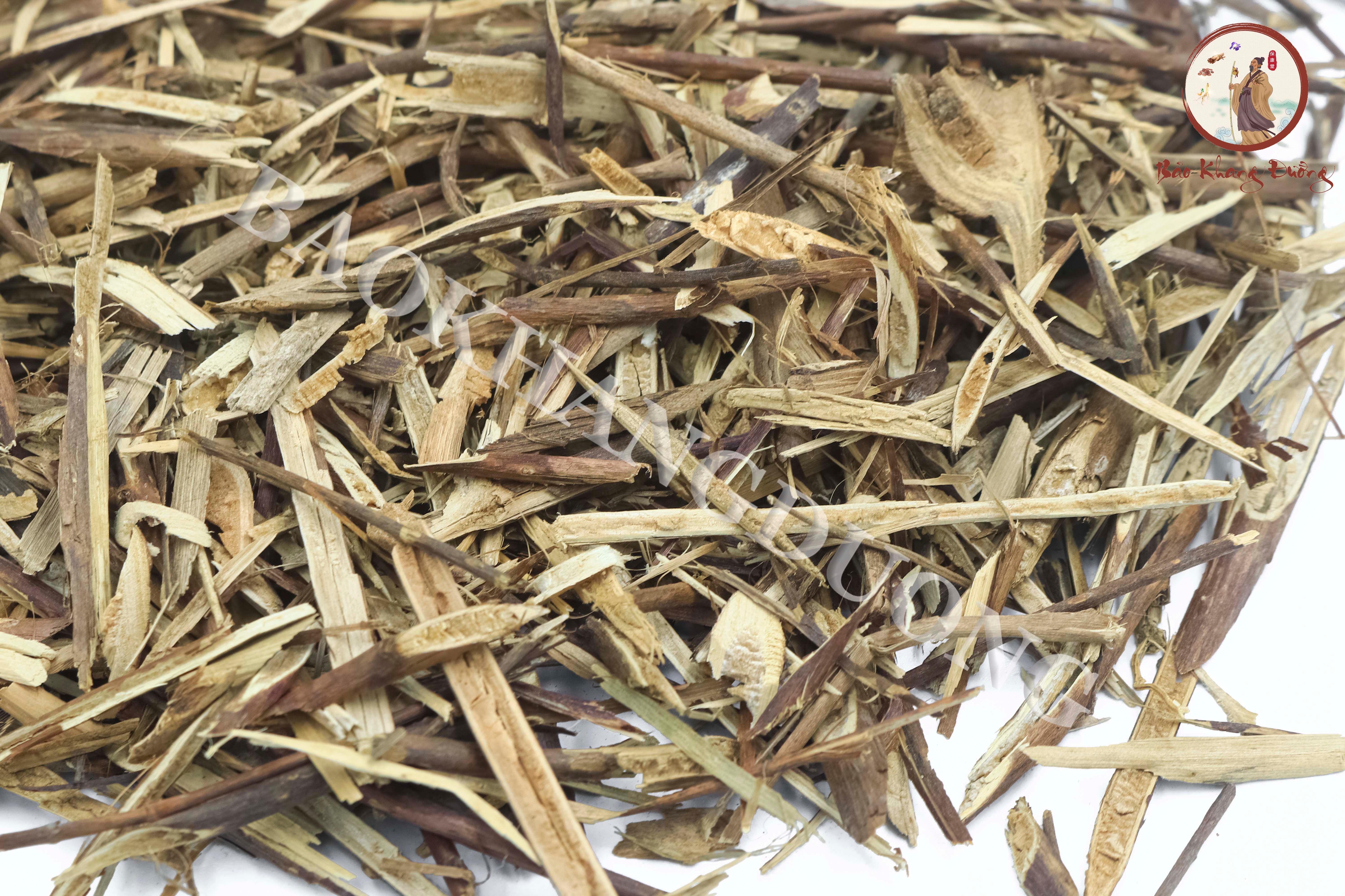 DƯỢC LIỆU TẠO GIÁC THÍCH