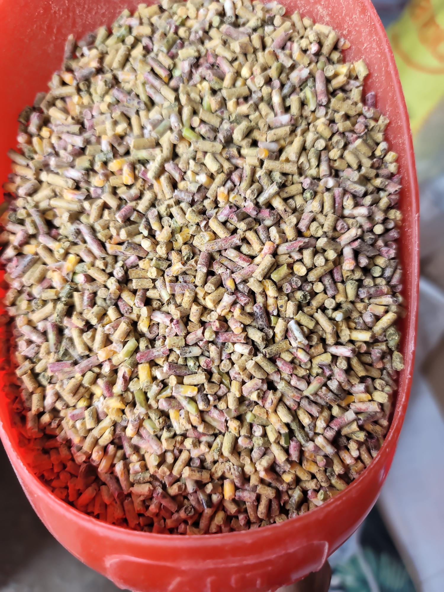 Ngũ cốc ép viên 35k