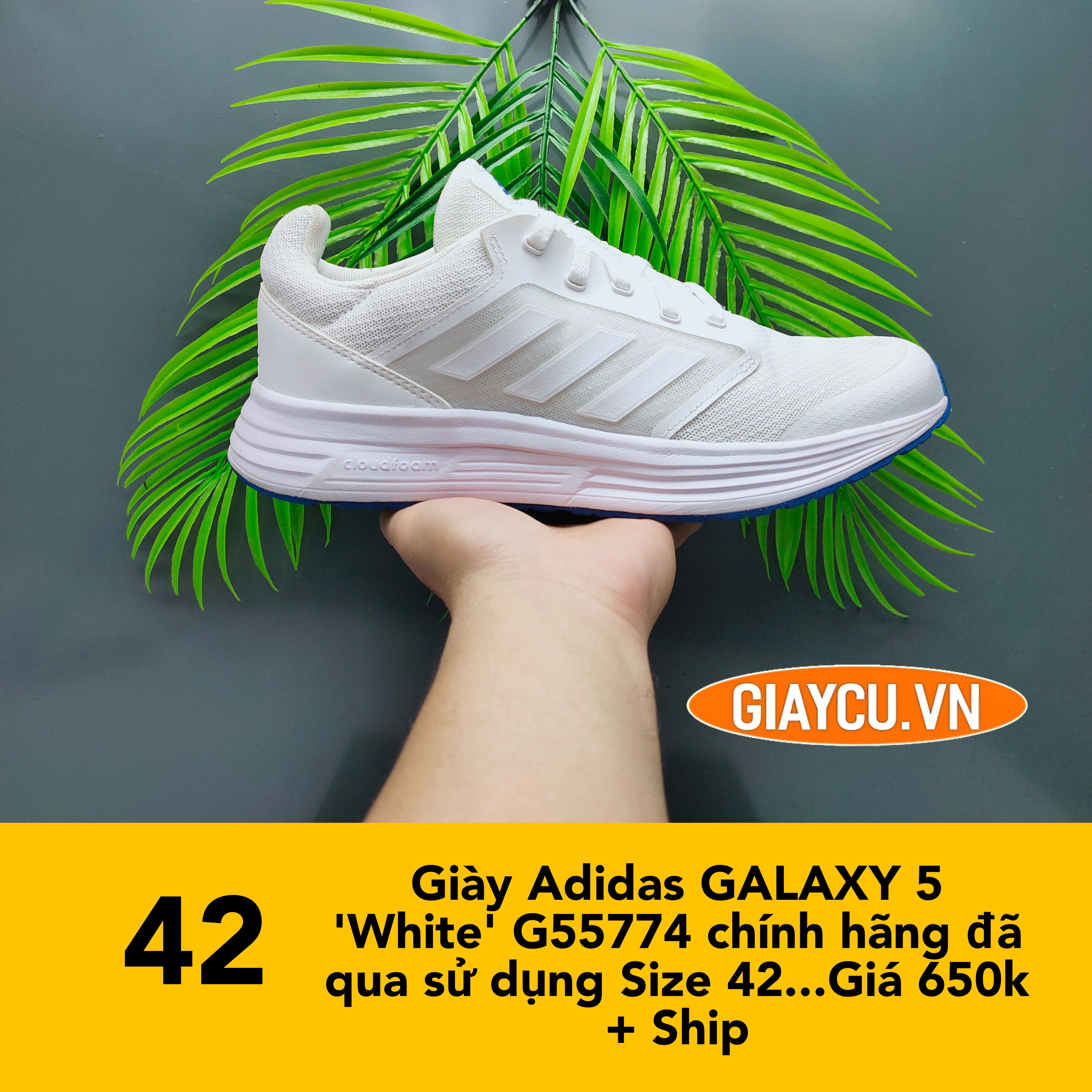 Giày Adidas GALAXY 5 'White' G55774 chính hãng đã qua sử dụng 