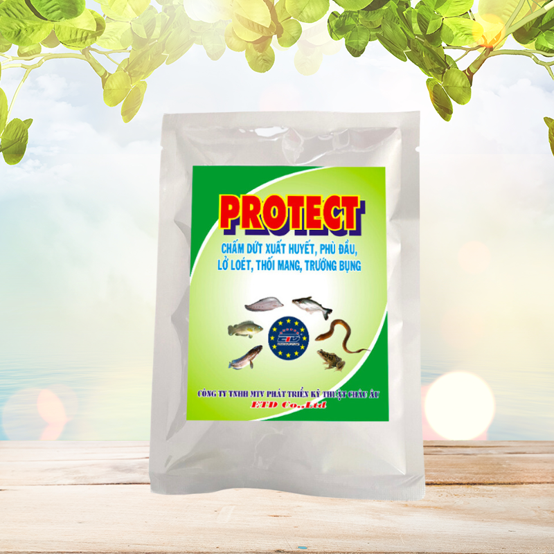 PROTECT - Chấm Dứt Xuất Huyết, Phù Đầu, Lở Loét, Thối Mang, Trướng Bụng
