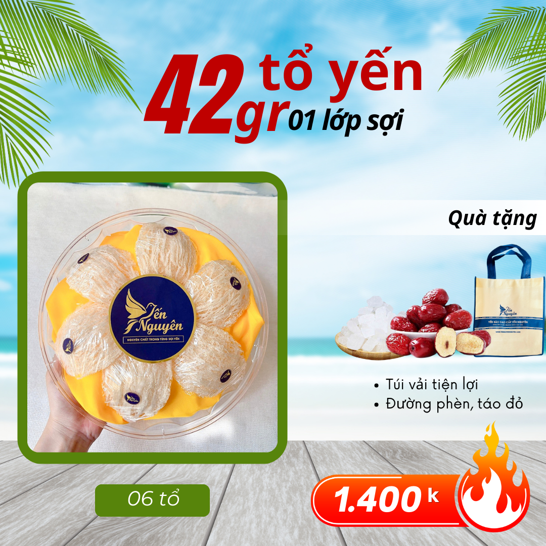 42gr TỔ YẾN TINH CHẾ  LỚP SỢI - TẶNG TÚI VÀ GIA VỊ