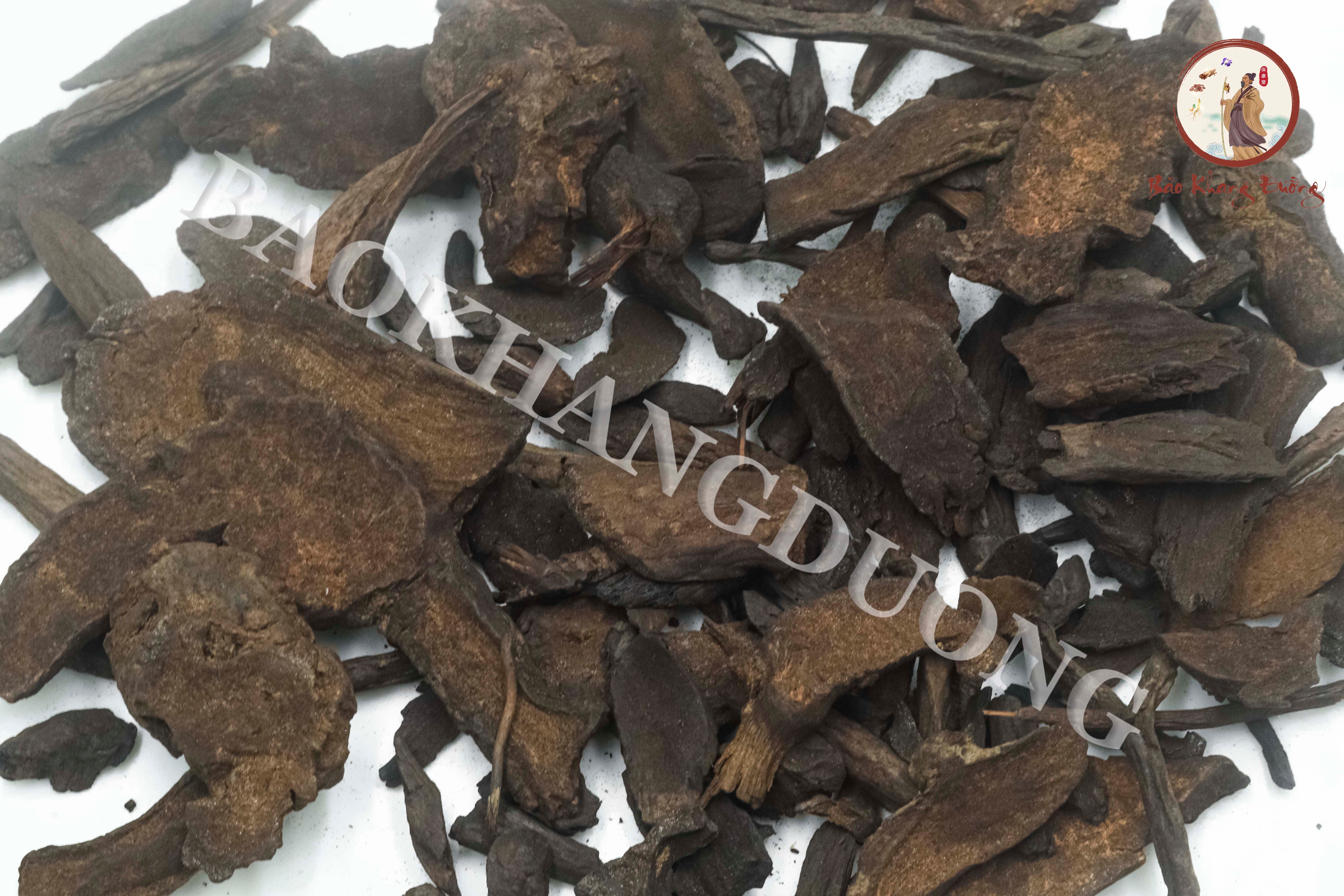 DƯỢC LIỆU ĐỊA DU- 地榆 dì yú