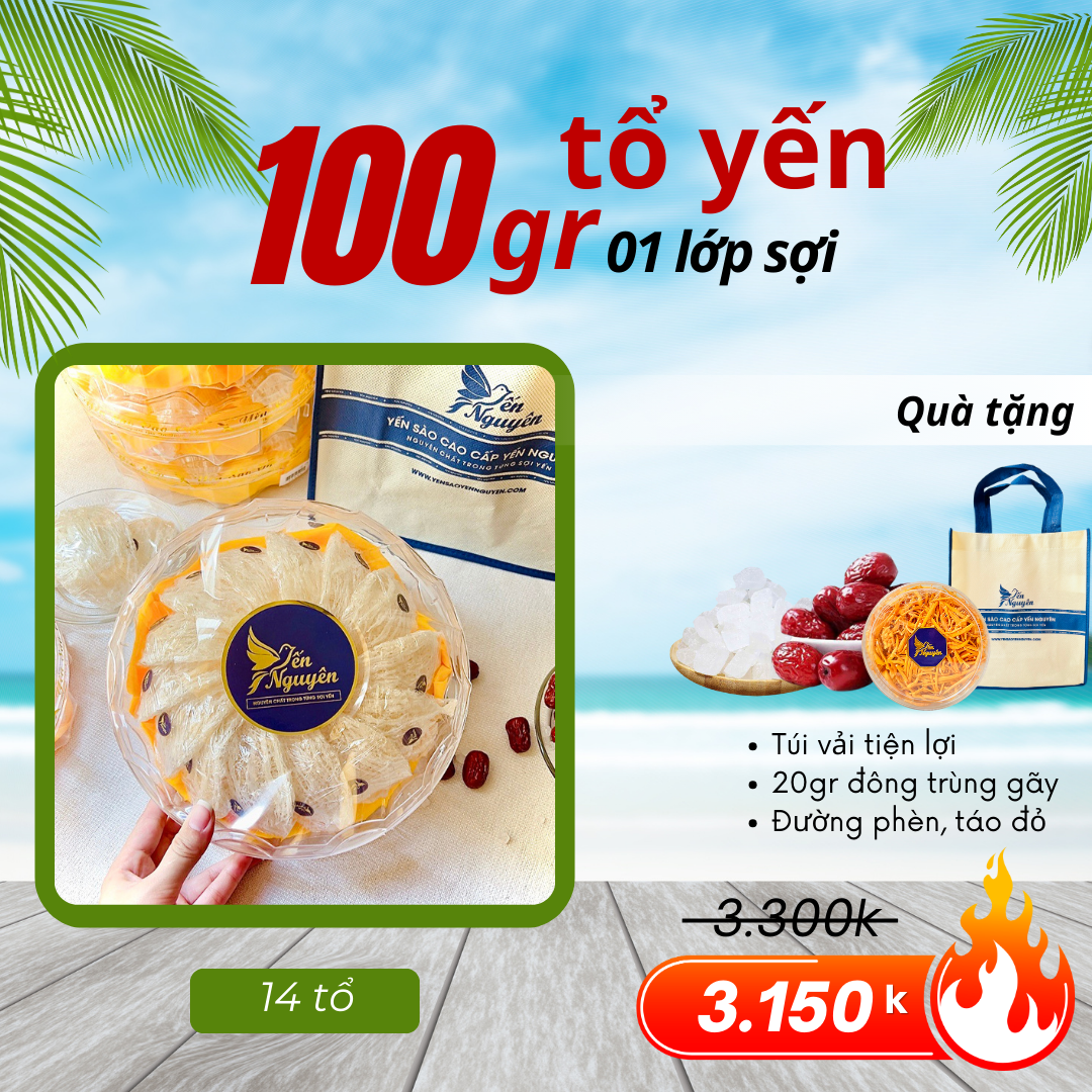 100GR TỔ YẾN TINH CHẾ  LỚP SỢI - TẶNG TÚI VÀ GIA VỊ