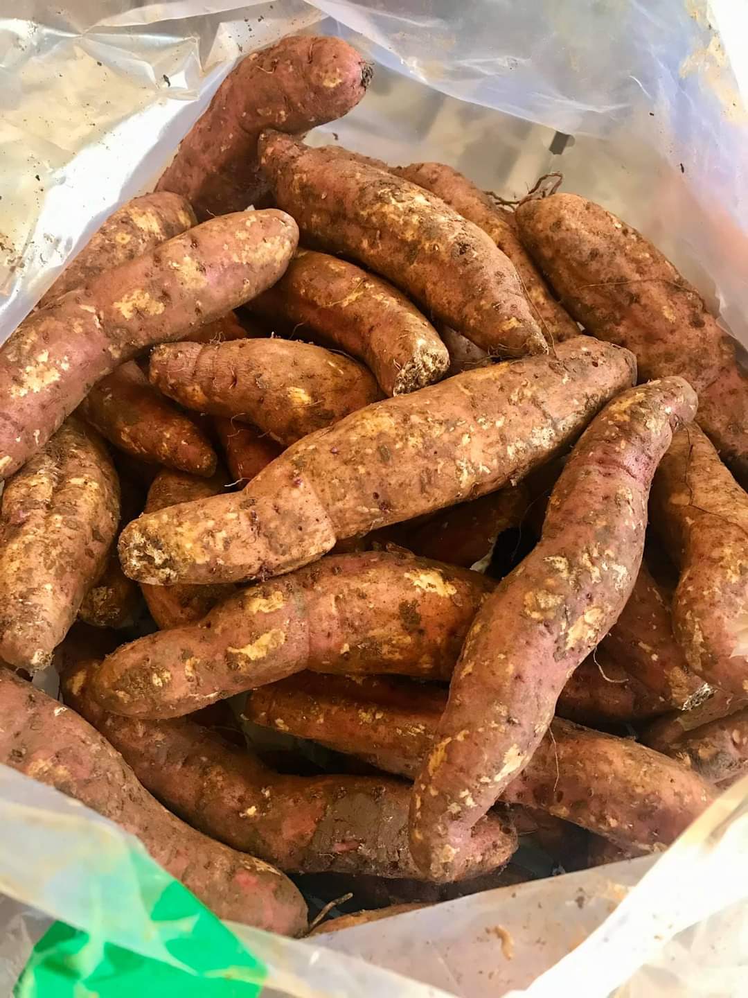 Khoai lang mật - 500gr