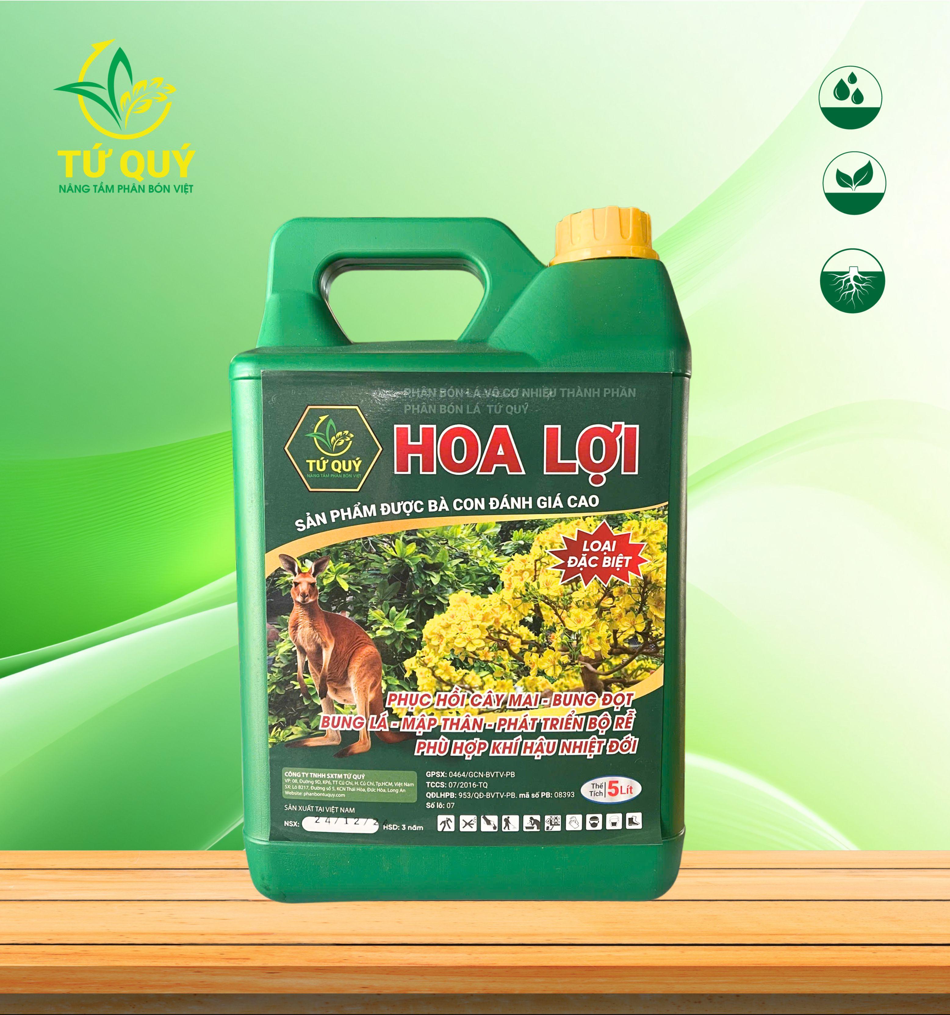 Hoa Lợi Mai Can 5 Lít