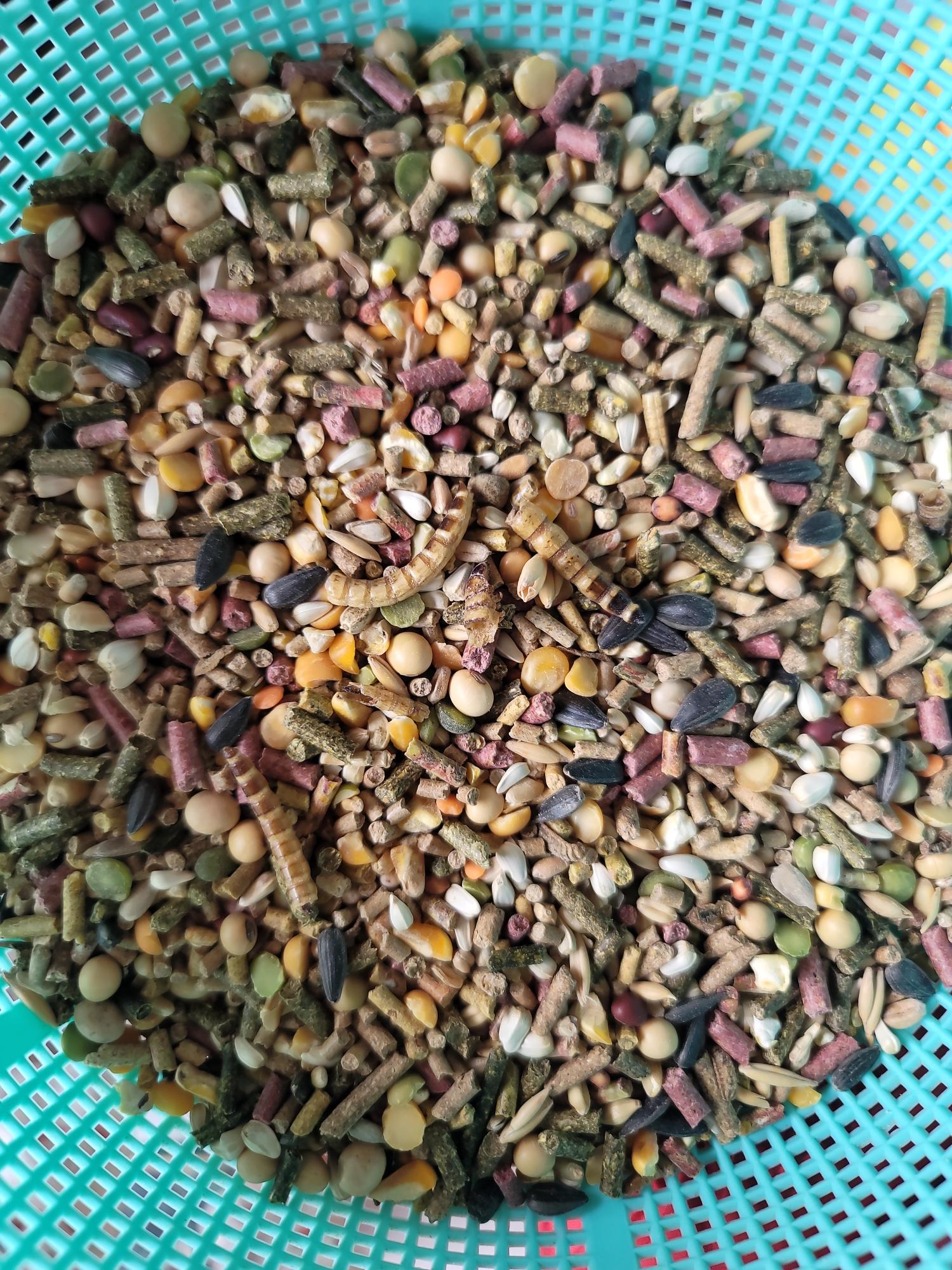 Ngũ cốc trộn sẵn 35k