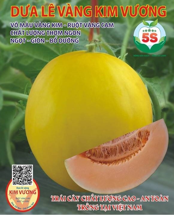 Dưa vàng Kim Vương 5 SAO