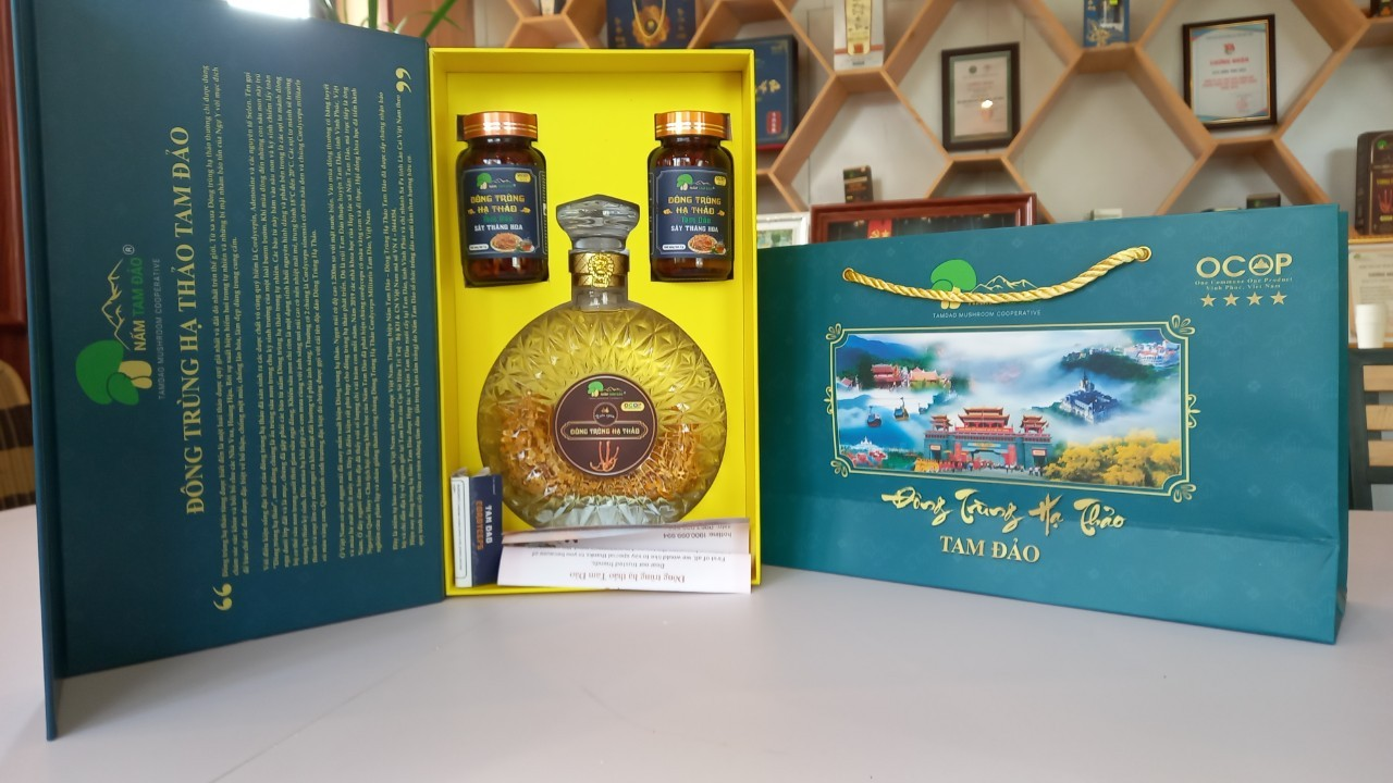 Hộp quà đông trùng hạ thảo Tam Đảo (3 sản phẩm kèm theo) - 2 hộp đông trùng hạ thảo sấy thăng hoa 5g