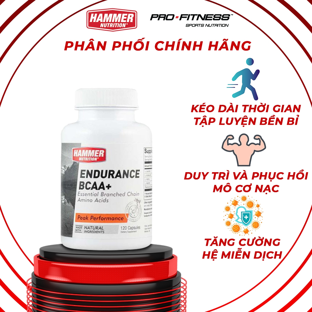 Viên uống tăng cường sức bền Endurance BCAA+ Hammer Nutrition (Hũ 120 viên) - Tổng hợp Protein, kéo dài thời gian tập luyện, chạy bộ