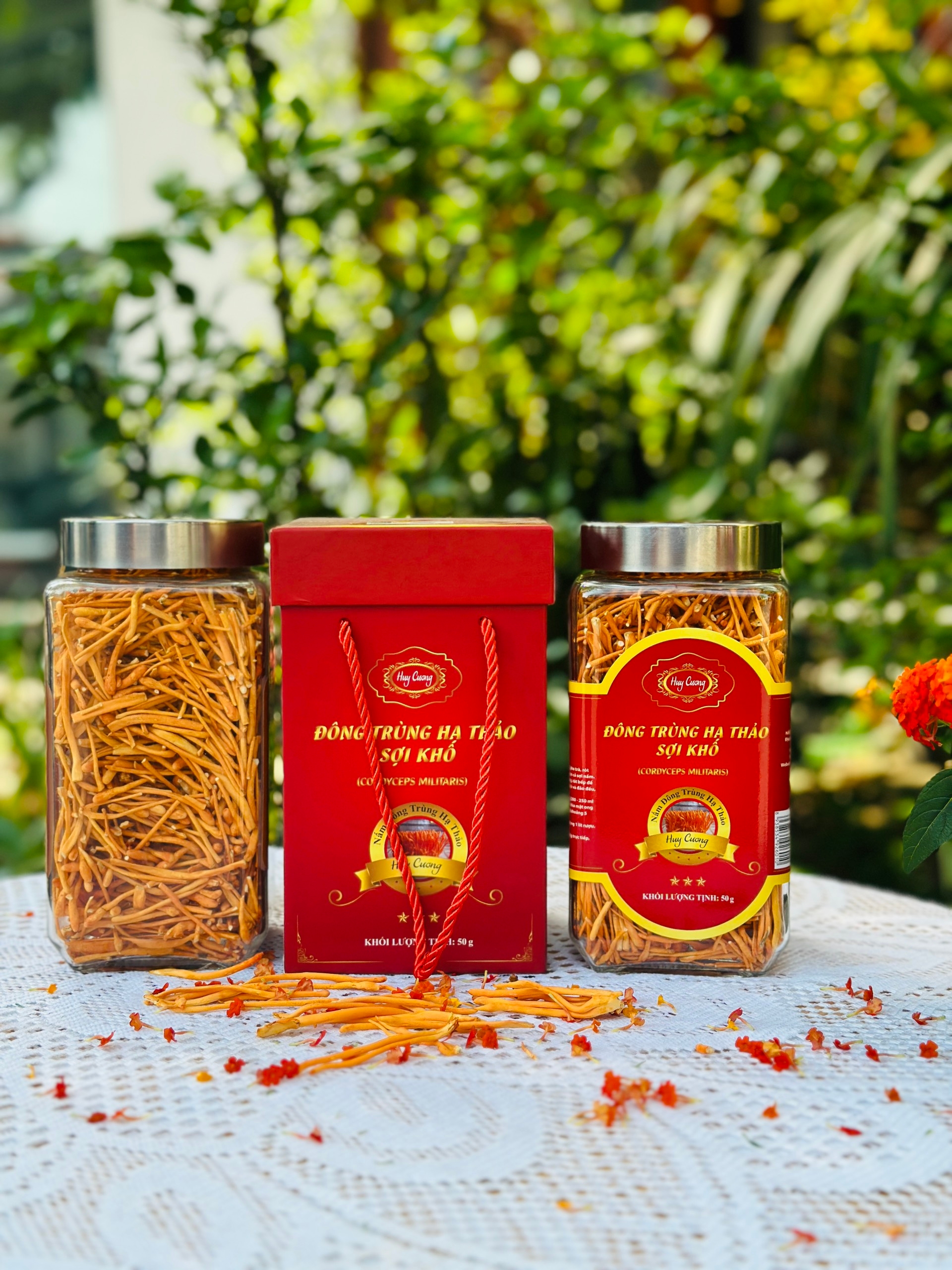 Đông trùng hạ thảo sợi khô (CORDYCEPS MILITARIS)  hộp 50g 