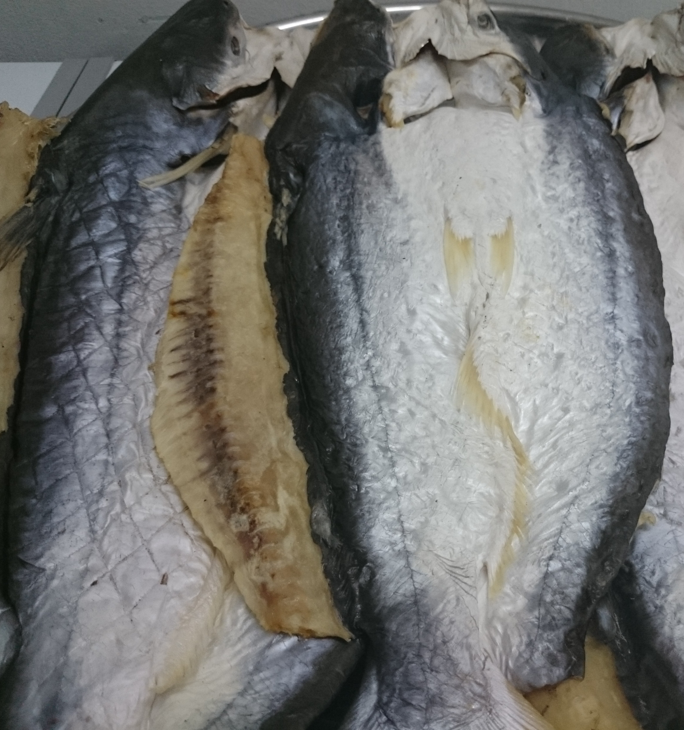 Khô cá dứa Trà Vinh-1 kg, đúng khô cá dứa, còn nguyên đầu